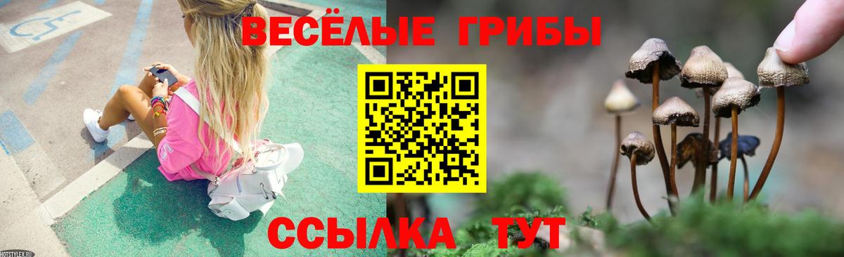 Семилуки  Галлюциногенные грибы Cubensis  Вход с VPN 