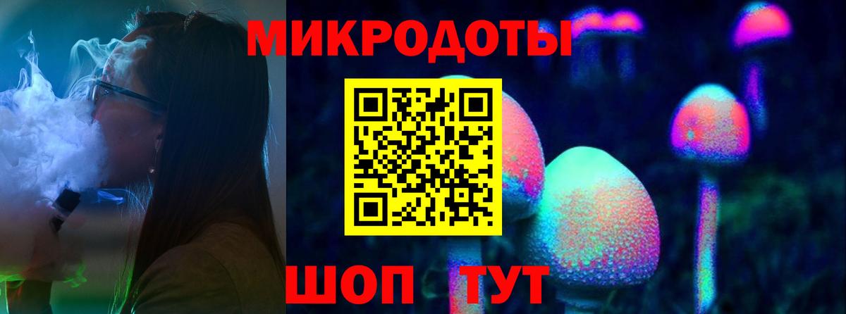 Псилоцибиновые грибы Cubensis Семилуки